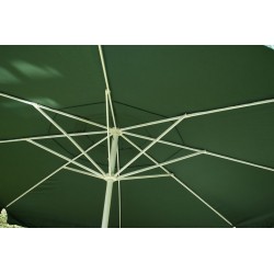 Slnečník - zelený, 4 m
