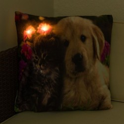 Dekoračný vankúš s LED osvetlením Mačka a pes - 38 x 38 cm