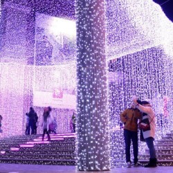 Vianočné osvetlenie - svetelný záves - 3 x 6 m studená biela 600 LED