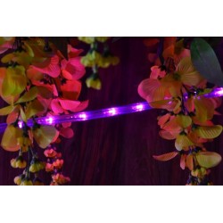 LED svetelný kábel - 240 diód, 10 m, ružový